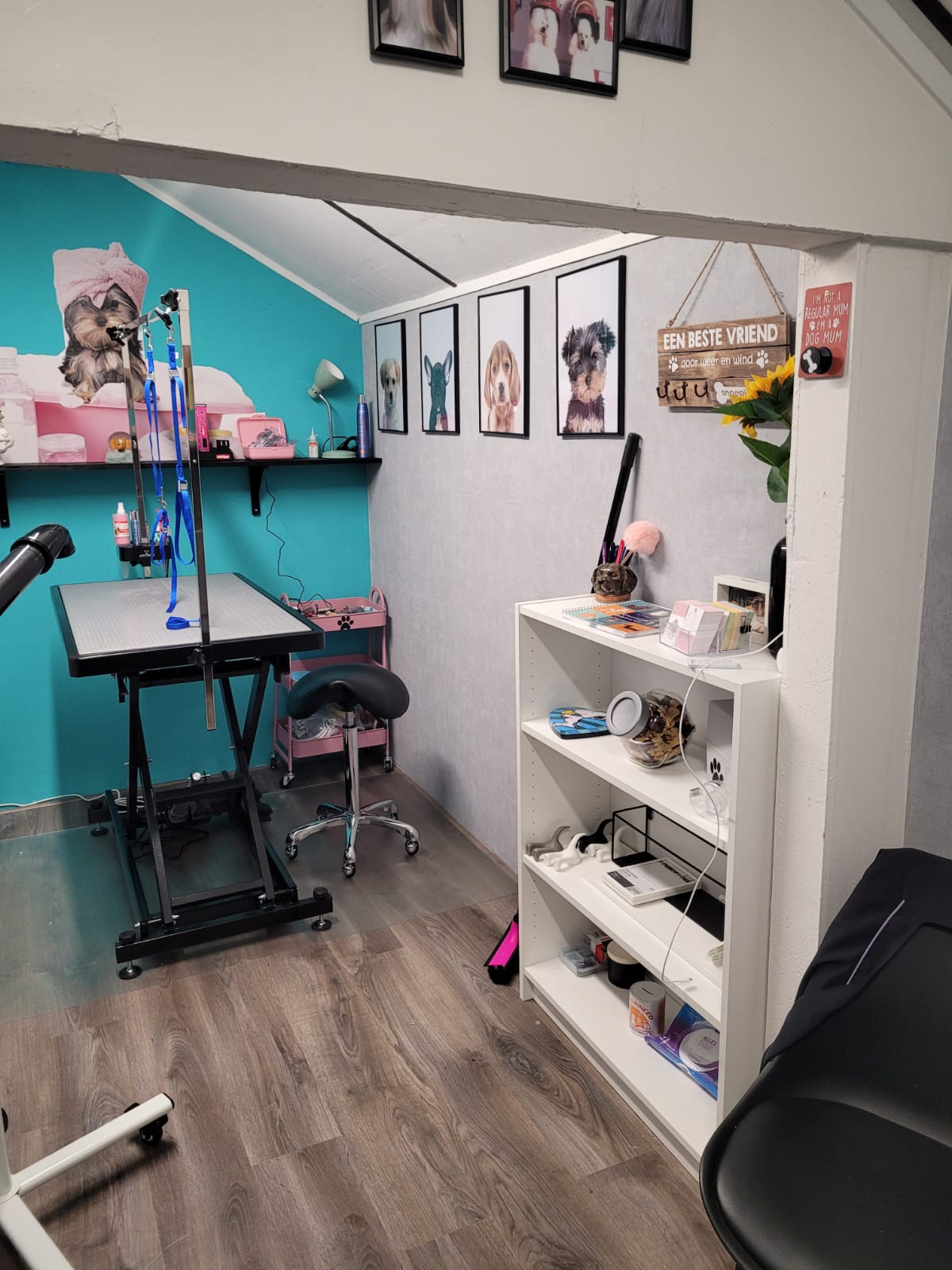 Overzicht van de salon met trimtafel en opbergrekken